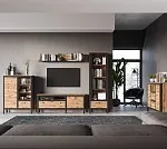 Тумба Лофт RTV1D1S | изображение 1