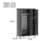 САГА шкаф 3 двери с зеркалом серый/ясень | изображение 4