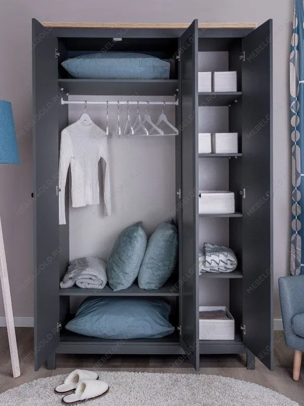 Шкаф распашной Сага, 3 двери, 132х64х215 см, серый/ясень | изображение 2