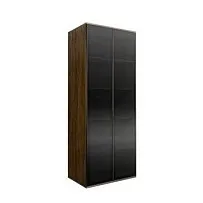 Шкаф 2-х дв. (2 двери стекло) Bogemia Woodline Air (Wood/Черный) БМШ2/2(2)