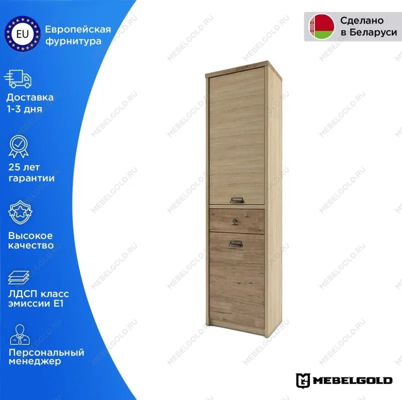 Шкаф 1-створчатый Дизель 2D1S/D1 | изображение 1