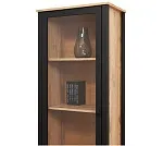 Витрина Лофт REG1W1S | изображение 1