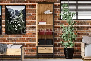 Шкаф Лофт REG1D1S